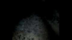 V&iacute_deo de verifica&ccedil_&atilde_o Thumb