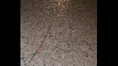 Daydreaming to the sound of rain asmr while watching worm crawl away from camera on wet ground Thumb