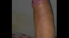 Pica grossa Thumb