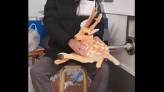 Bambi es penetrada por maquina xD Thumb