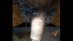 My land Thumb